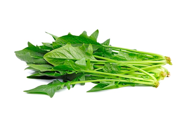 Fresh spinach on white background