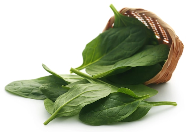 Fresh Spinach over white background