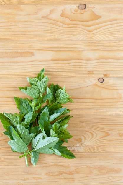 Fresh spring green grass and leaf plant over wood fence background.