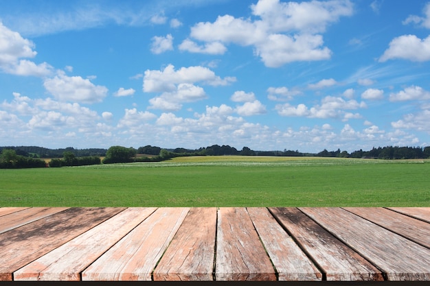 Fresh spring green grass with blue sky and wooden floor