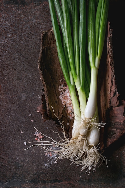 Fresh spring onion bundle