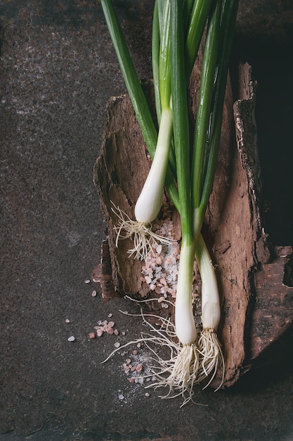 Fresh spring onion bundle