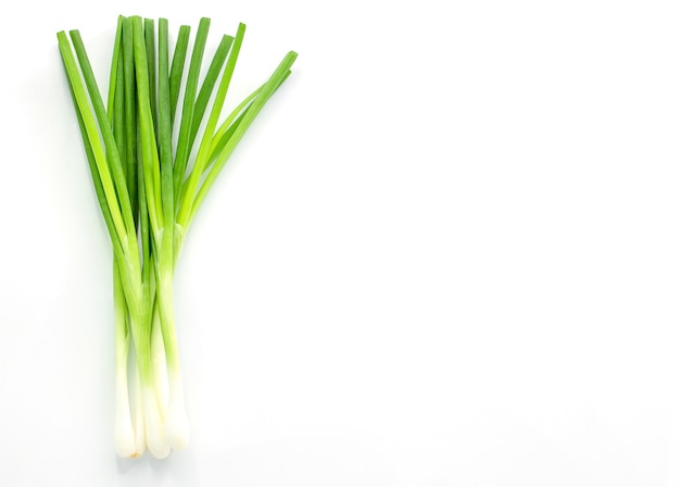 Fresh spring onions isolated on white wall with copy space