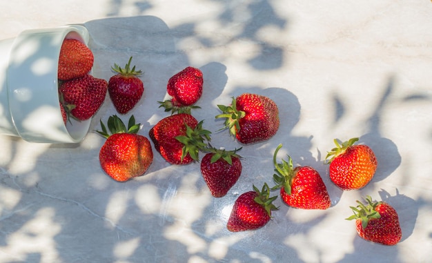 Fresh strawberries are scattered on the table the shadow of the leaves Copy space