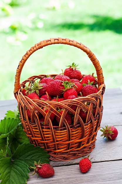 Fresh strawberries in a basket on a table in the garden