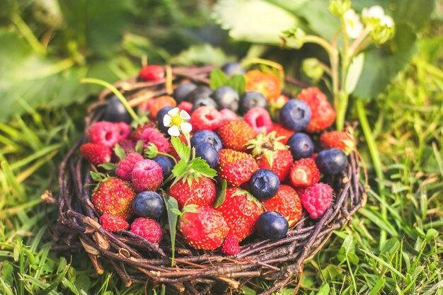 Fresh strawberries raspberries and blueberries on a sunny green background healthy food superfoods