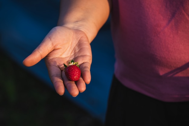 A fresh strawberry on female hand