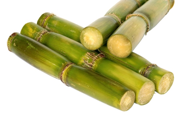 Fresh Sugar cane isolated on white background