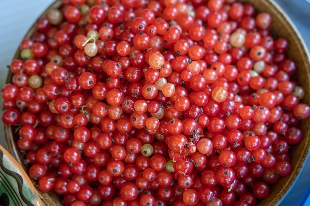 Fresh summer berries in a plate red currants and gooseberries from the garden. High quality photo