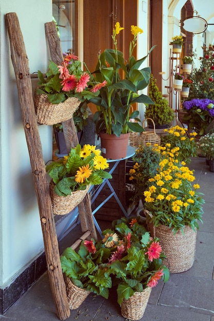 Fresh summer flowers in wicker pots on decorative staircase Urban street gardening and decoration