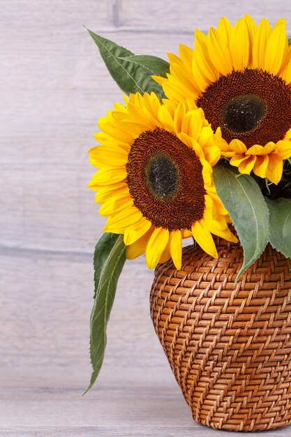 Fresh sunflower in bag on white background