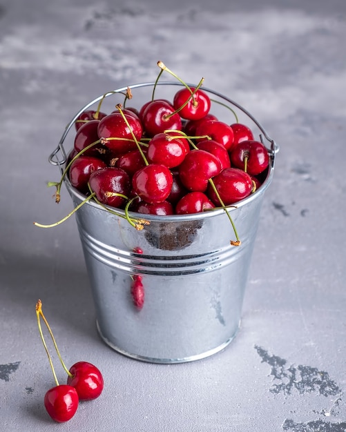 Fresh sweet cherry in a metal bucket.