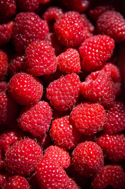 Fresh sweet juicy raspberries close up