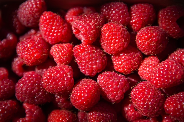 Fresh sweet juicy raspberries close up