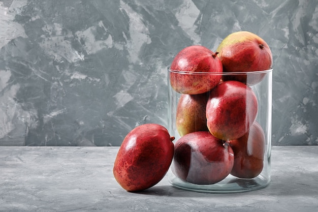 Fresh sweet mangoes on concrete background, side view. Flat lay. Copy space.