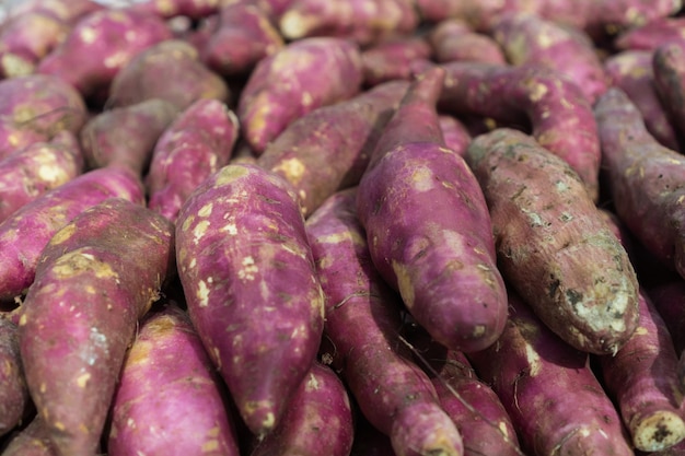 Fresh Sweet Potatoes in the supermarket Vegetables and fruits exposed for the consumer to choose