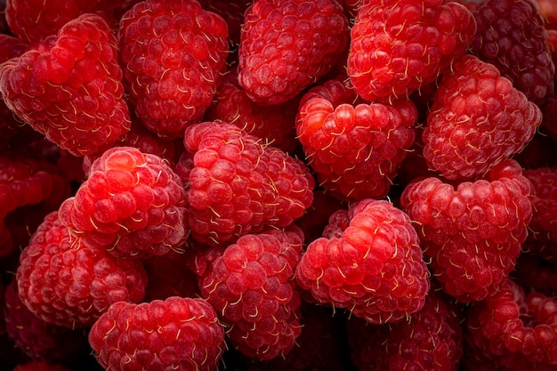 Fresh and sweet raspberries background Fresh organic ripe raspberry Bunch of red raspberries top view