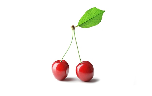 Fresh sweet ripe sweet cherry isolated on white background