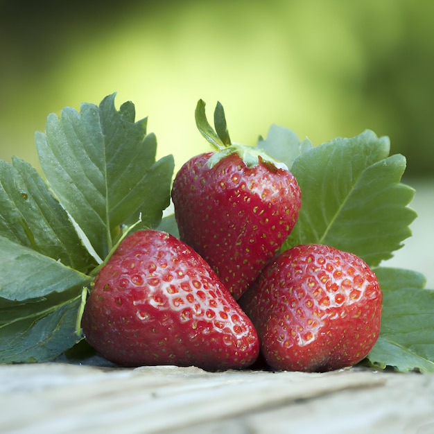 Fresh sweet strawberries in the natural background.