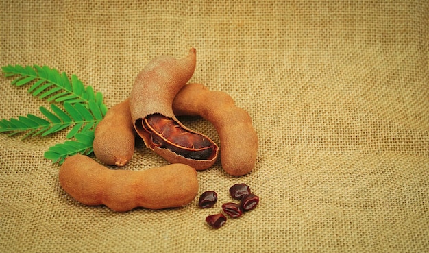 fresh tamarind fruits and leaves Sack background Tamarind tropical fruit with leaf