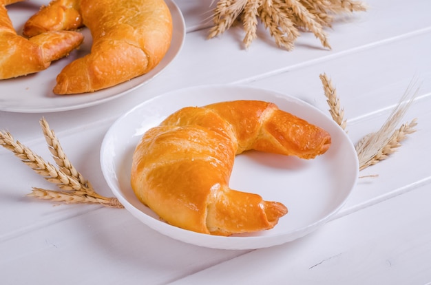 Fresh tasty bagel with filling on white plate on white wooden background