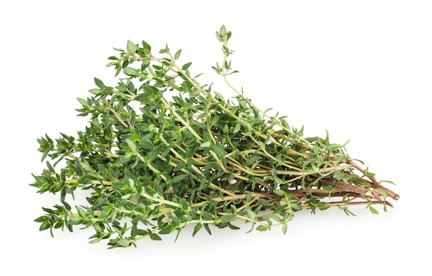 Fresh thyme isolated on white background