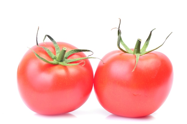 Fresh tomato