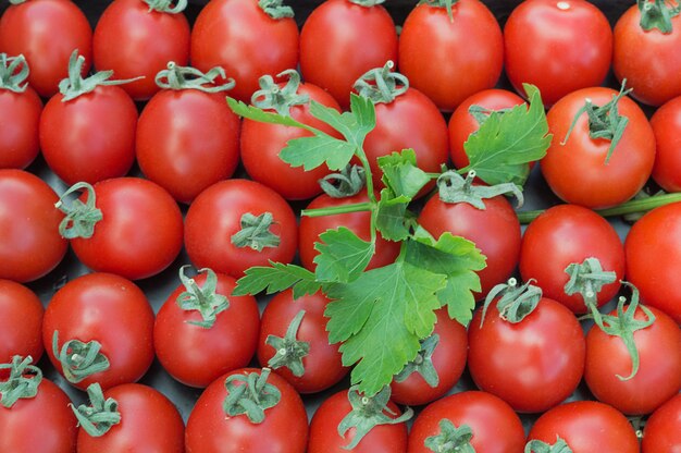 Fresh tomatoes for background with parsley.