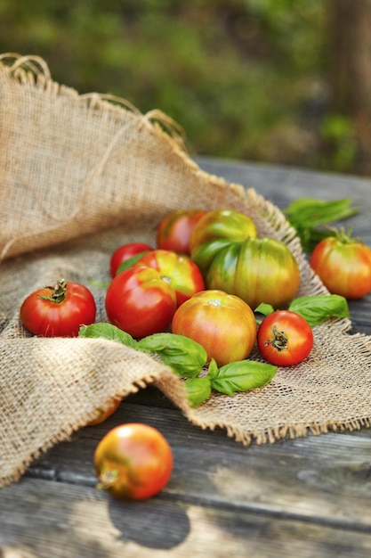 Fresh tomatoes and basil on wooden table over bokeh background