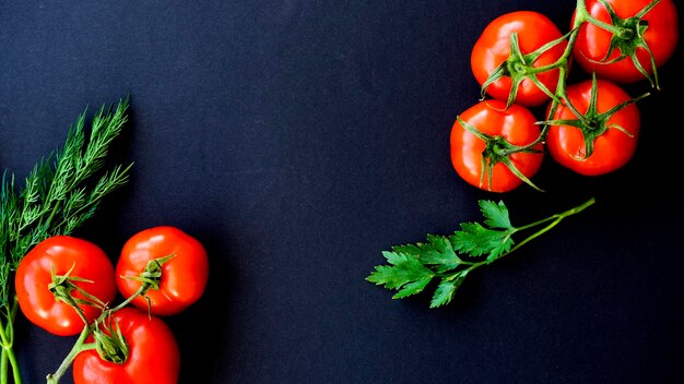 Fresh tomatoes on a branch on a black background