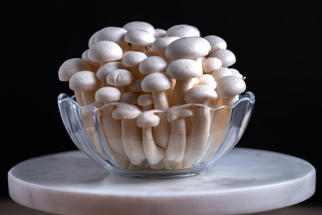 Fresh uncooked bunapi white shimeji edible mushrooms from Asia rich in umami tasting compounds