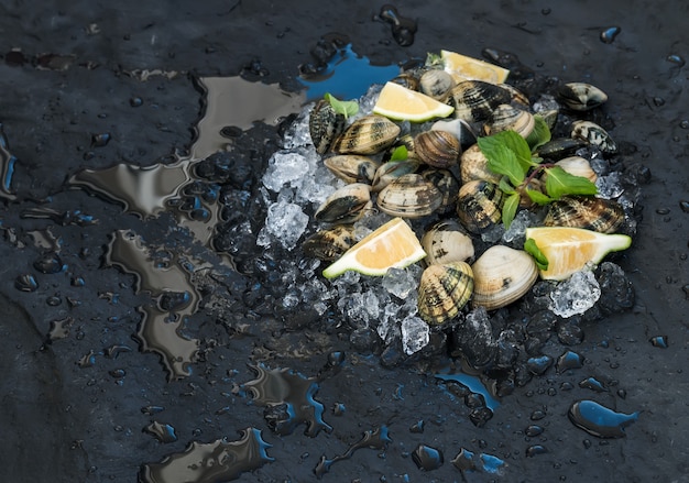 Fresh uncooked clams with lemon, herbs and spices on chipped ice over dark slate stone backdrop