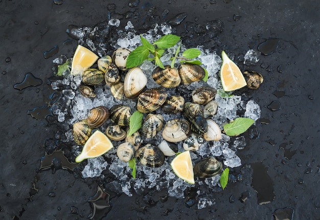 Fresh uncooked clams with lemon, herbs and spices on chipped ice