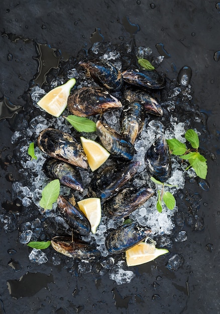 Fresh uncooked mussels with lemon, herbs and spices on chipped ice over dark slate stone wall