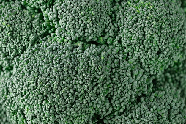 Fresh vegetable broccoli closeup Macro broccoli head