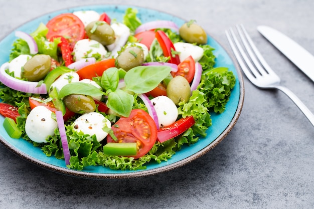 Fresh vegetable salad. Caprese. Caprese salad. Italian salad. Mediterranean salad. Italian cuisine. 
