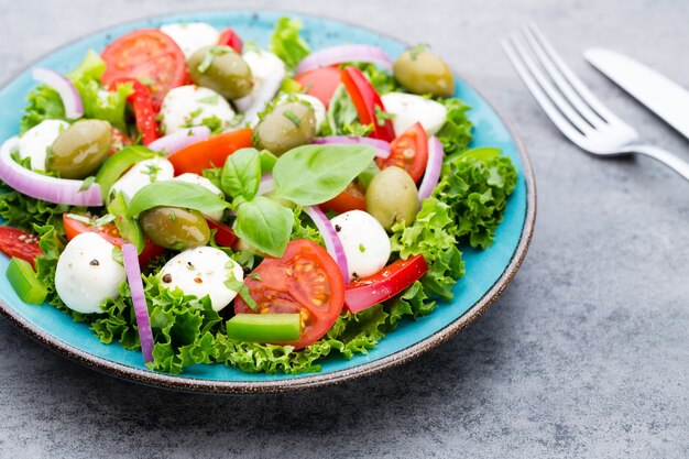 Fresh vegetable salad Caprese Caprese salad