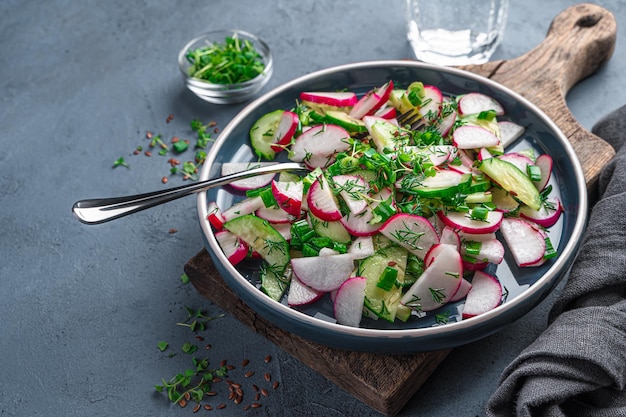 Fresh vegetable salad with radishes and fresh herbs on a graphite background