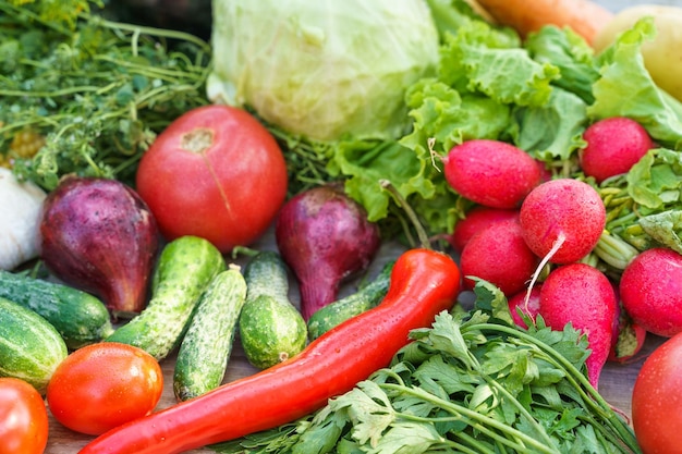 Fresh vegetables as background in summer garden in country house