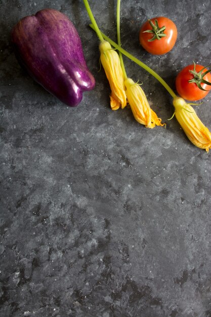 Fresh vegetables on dark background space for text copy space