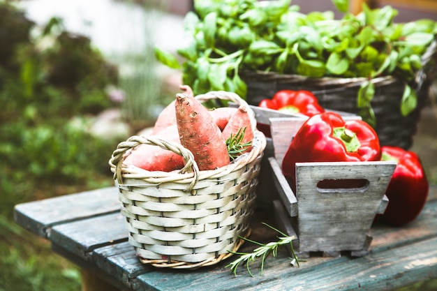 Fresh vegetables on wood