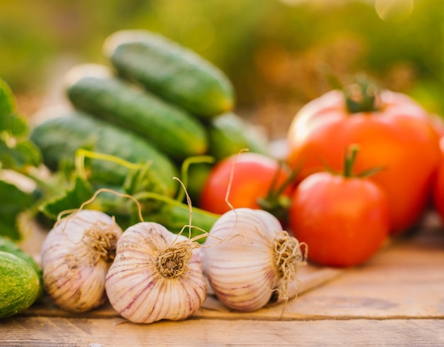 Fresh vegetables on a wooden background Cucumbers tomatoes garlic dill Contoured sunlight Organic farm Organic vegetables Summer harvest