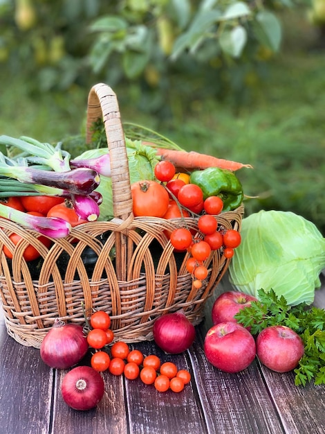 fresh vegetables on wooden background