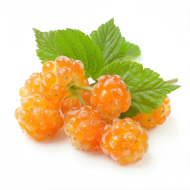 Fresh and vibrant cloudberry fruits with green leaves on a white background perfect for culinary