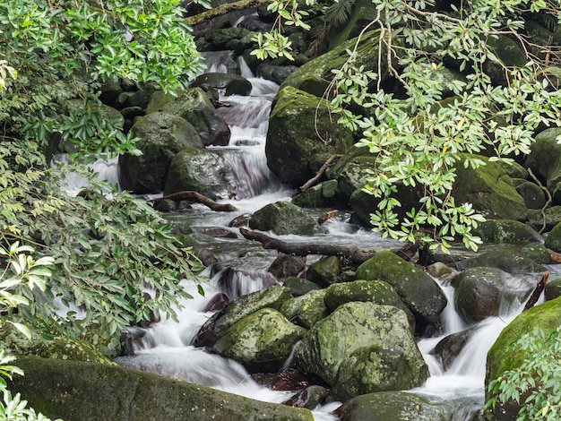 Fresh water in a stream finding a way down over rocks in slow motion