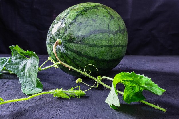 Fresh watermelon and leaf