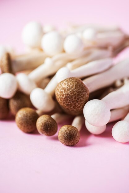 Fresh white and brown shimeji mushrooms Close up selective focus