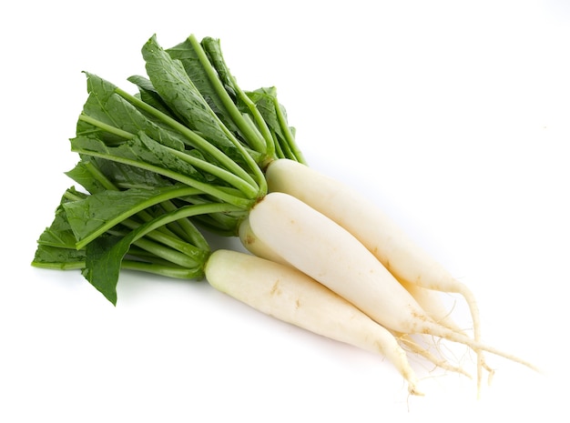 Fresh white radish isolated on white surface