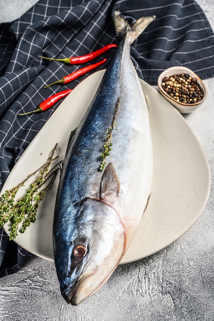 Fresh whole Japanese amberjack