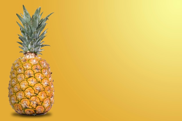 Fresh whole pineapple with orange background and side space for text